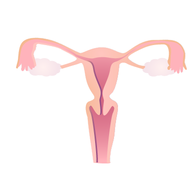 :uterus: