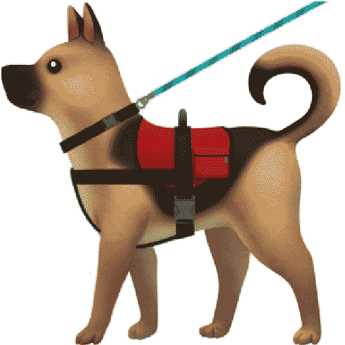 :guide_dog: