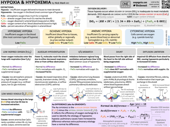 ICU OnePager about Hypoxemia & Hypoxia