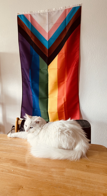 A photograph of a white long-haired cat laying down on a light wood dining table. Behind the cat is a white wall with a Progress Pride flag hanging vertically behind the cat.