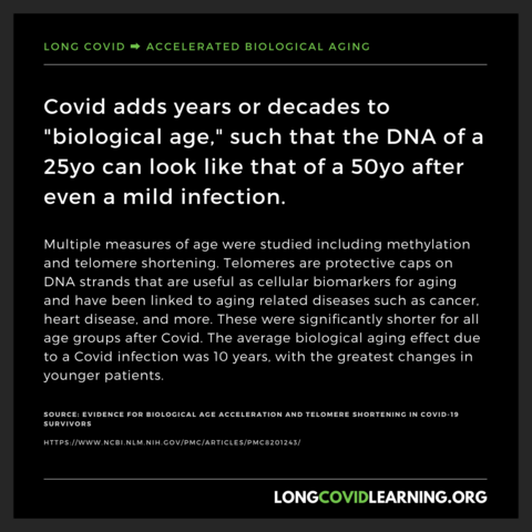 LongCovidLearning.org topic: Accelerated biological aging

Covid adds years or decades to "biological age," such that the DNA of a 25yo can look like that of a 50yo after even a mild infection.

Multiple measures of age were studied including methylation and telomere shortening. Telomeres are protective caps on DNA strands that are useful as cellular biomarkers for aging and have been linked to aging related diseases such as cancer, heart disease, and more. These were significantly shorter for all age groups after Covid. The average biological aging effect due to a Covid infection was 10 years, with the greatest changes in younger patients.

Source: Evidence for Biological Age Acceleration and Telomere Shortening in COVID-19 Survivors - PMC (nih.gov)