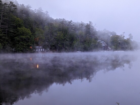 Foggy reflective river scene.