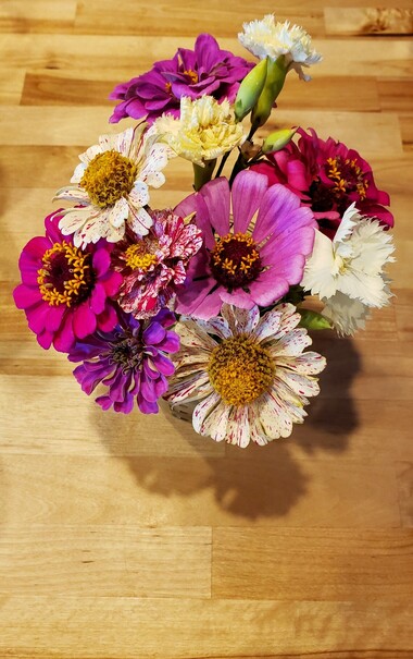 Different colored zinnias and white carnations in a glass.