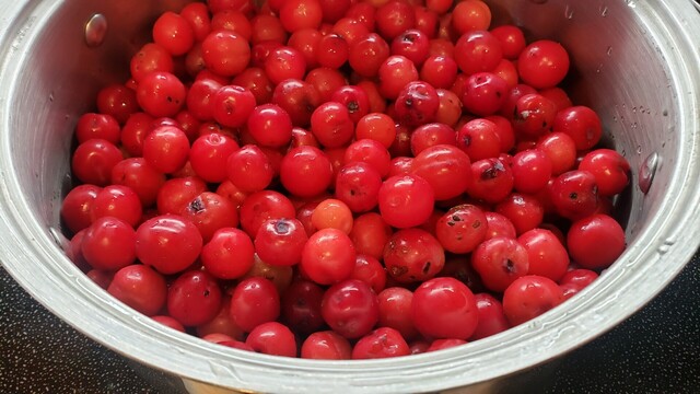 Sand hill plums in a pot.