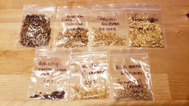 Cilantro, Islander bellpepper, Carnival bellpepper, Banana pepper, Bok Choy, Jalapeno, and Blue Beech tomato seeds in tiny ziploc baggies.