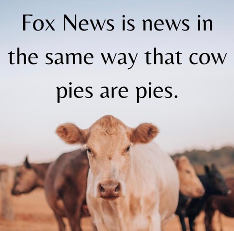 Cow looking at the camera. Quote says Fox News is to news as cow pies are to pies.