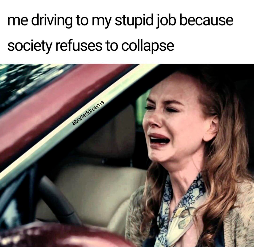 me driving to my stupid job because society refuses to collapse 
