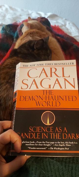 A copy of Carl Sagan's "The Demon-Haunted World: Science as a Candle in the Dark", resting on a sleeping tortoise cat who's resting on a sleeping ginger cat, both resting on a red and green woolen blanket