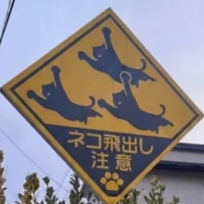 meowki@meowstodon.eu