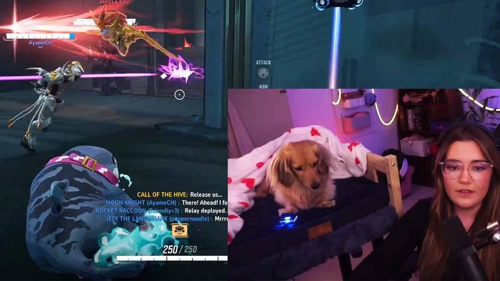 Header image for an article titled: This Dog Heals Better Than Most Of My Marvel Rivals Teammates