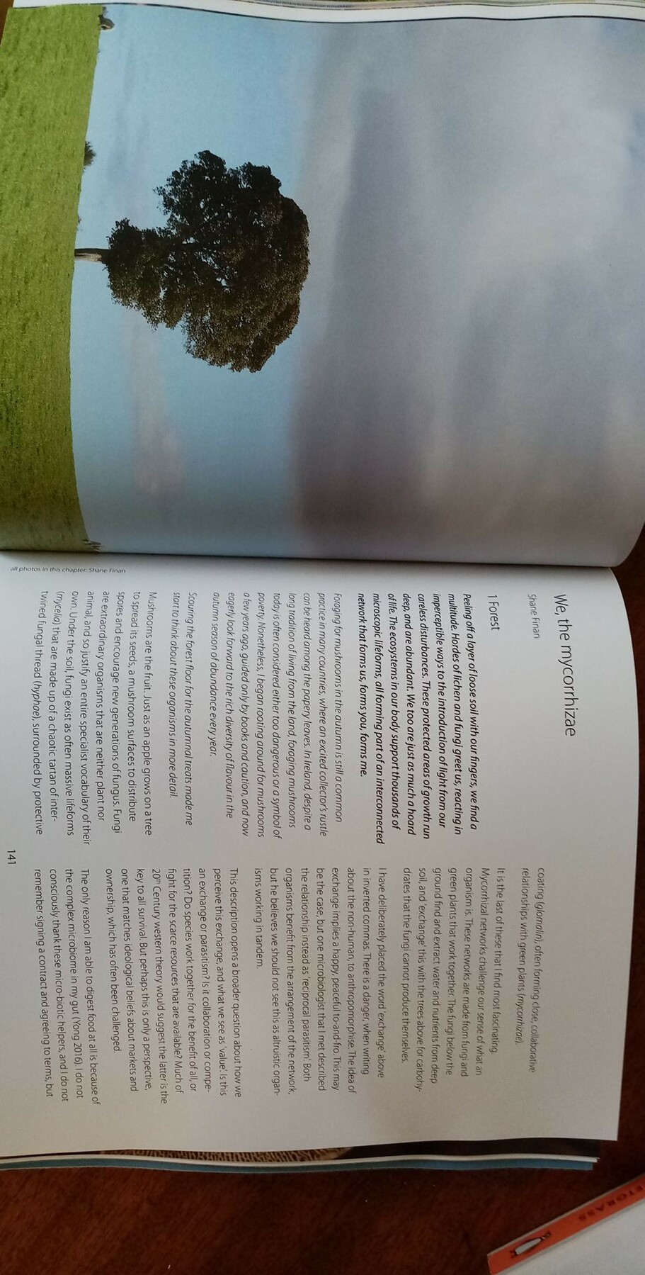 A photograph of the same book as in the other photograph, now opened to a 2-page spread. On the left page is a full page photograph of a lone tree in a field. On the right is the first page of an essay, printed in two columns, called 'We, the Mycorrhizae'.