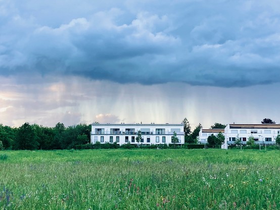 Photo of a cloudy sky and some residential buildings across a lush meadow. The dark blue clouds have a clearly defined edge at the bottom and you can see curtains of rain streaming out. 