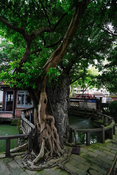 The Lin Family Garden, located in Banqiao District of New Taipei City (formerly part of Taipei), is one of the most well-preserved traditional Chinese gardens in Taiwan. Constructed in the late 19th century during the Qing Dynasty, it served as the private residence and retreat of the wealthy Lin Ben Yuan family, one of the most influential merchant families in Taiwan at the time. The garden reflects the elegance of southern Chinese garden design, with winding paths, classical pavilions, lotus ponds, and delicate rock formations. Beyond its aesthetic beauty, the garden also served political and social functions, hosting important guests and gatherings. Today, it stands as a vital cultural heritage site, offering insight into Taiwan's historical architecture, landscape design, and the lifestyle of the island’s elite during the Qing era.