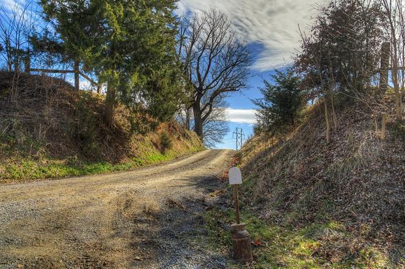 Sunken Road in the Winter 

A winding sunken road cuts through a hilly, leaf-covered forest, with bare trees lining either side.