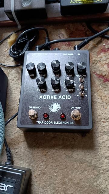 Trap Door Electronics Active Acid low pass filter pedal. It has tap tempo, about six different waveforms - including sample and hold, and an envelope follower - and drive.
