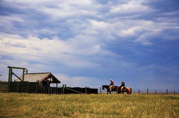 On the back of one song, “Four Strong Winds”, cowboy and singer Ian Tyson was able to purchase his own property in Alberta, “Tyson Ranch.”

source https://www.iantyson.com/albums