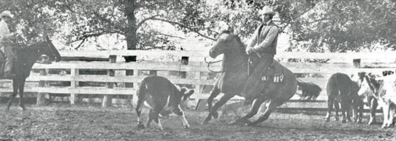 Ian Tyson ‘cutting’ cattle on Pistol in July 1973.

source https://westernhorseman.com/ranching/classic-cowboys/canada-s-ian-tyson/