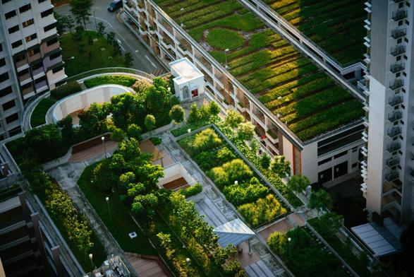 Green Roofs Filter Microplastic From Urban Rainfall, Study Finds
