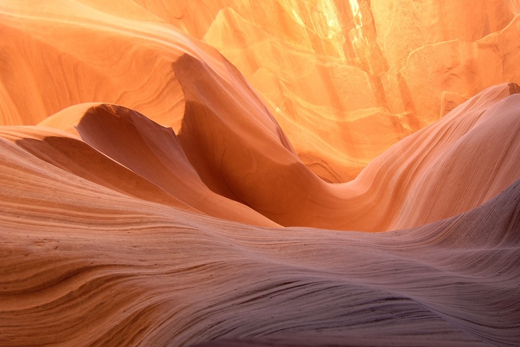 Header Image