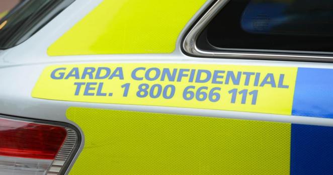 Swedish contract killer died in Limerick car crash en route to commit murder - Swedish contract killer died in Limerick car crash en route to commit murder