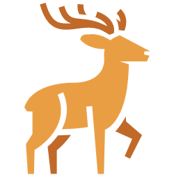 elk