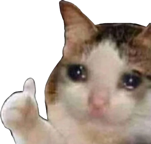 sadok