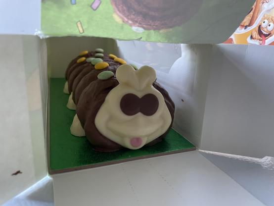 Colin the Caterpillar staring at the camera with cold blank eyes.