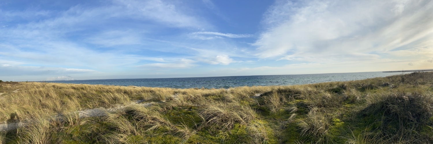 Header Image