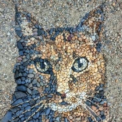 tigrillo@nonoino.masto.host