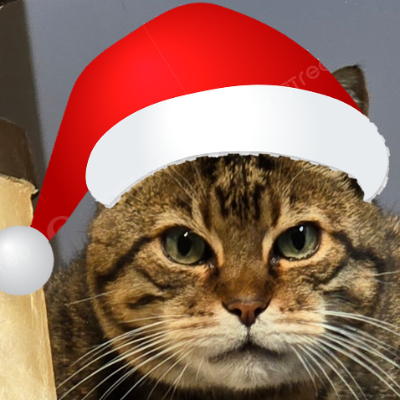 tigrillo@nonoino.masto.host