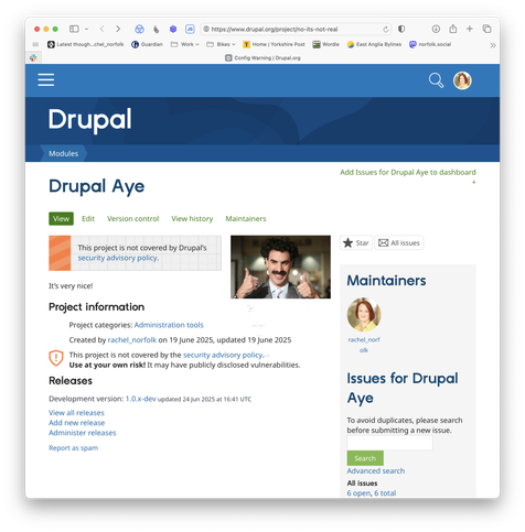 Screenshot a a mocked up browser window showing the Drupal Aye module, with a picture of Borat as the logo and ‘It’s very nice!’ as the description.