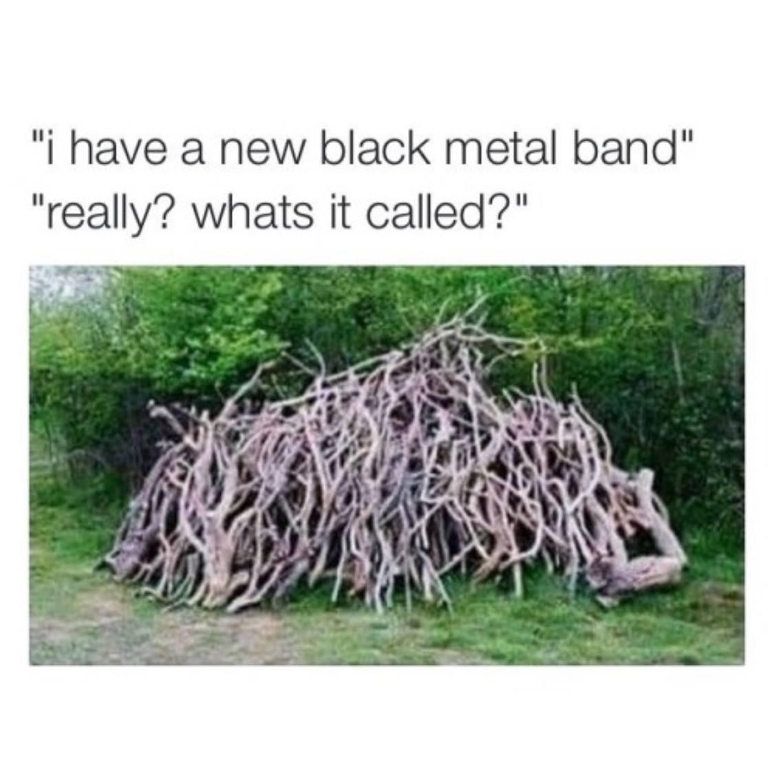 a meme with the caption: I have a new black metal band! - Really? What's it called? and then there's a picture of a pile of dry fire wood