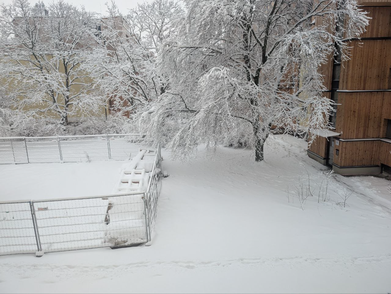 Schneelandschaft mit verschneitem Baum