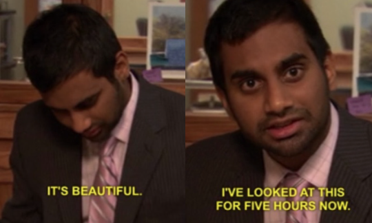 “It's Beautiful I've Looked At This For Five Hours Now” is a memorable quote uttered by Tom Haverford (played by Aziz Ansari) from the 2009 TV sitcom Parks and Recreation. The quote is used alongside a still from the scene as a reaction image to an above caption or screenshot, typically when the meme’s creator responds positively. Usually, the reaction follows an announcement or artwork, but it can also be used sarcastically with the reaction labeled as someone or something.

via: https://knowyourmeme.com/memes/its-beautiful-ive-looked-at-this-for-five-hours-now