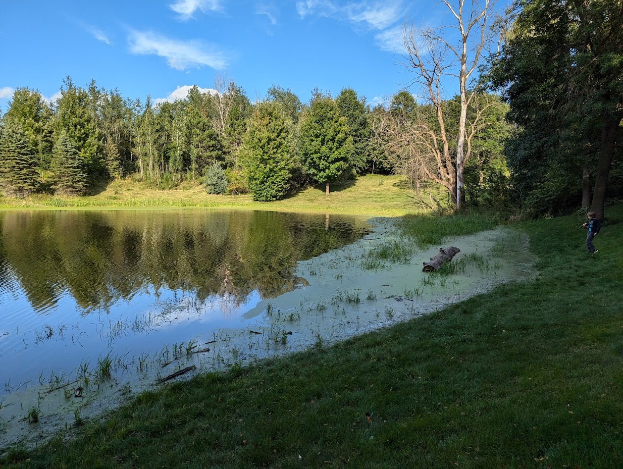 A picture of a pond reflecting the trees on the opposite bank in its water. The shoreline is angled from the lower left to the mid-right, where a small boy approaches a log in the water. 