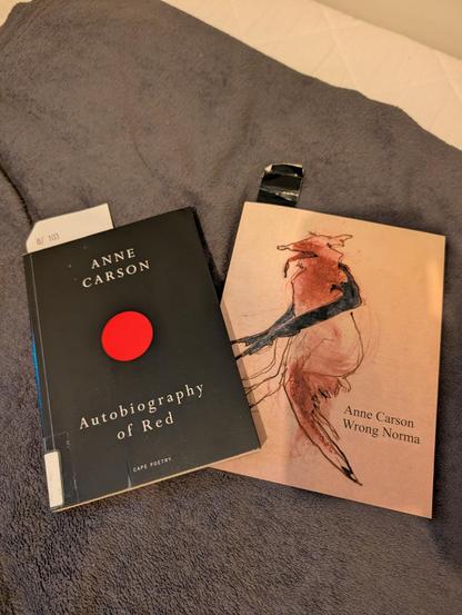 To bøker av forfattaren Anne Carson ligg ved sida av kvarandre på eit grått, mjukt teppe. Til venstre ligg ei svart pocketbok med tittelen «Autobiography of Red», pryda med ein raud sirkel i midten og ein kvit papirlapp som stikk opp frå toppen. Til høgre ligg boka «Wrong Norma» med eit lyst, sandfarga omslag illustrert med ei abstrakt teikning i raudt og svart, samt eit mørkt bokmerke på toppen.