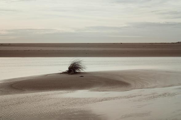 Im Kniepsand vor Amrum an der Nordsee steht ein einsames Grasbüschel, vom Wind zerzaust. Sand und Wasserflächen wechseln sich ab, der Himmel mit leichten Schleierwolken, Strand und Wasser haben fast die gleichen monochrome wirkenden Farben: beige-sand mit einem Hauch von Blau.

In the sandy core, the "Kniepsand"  in front of Amrum on the North Sea stands a lonely tuft of grass, disheveled by the wind. Sand and water surfaces alternate, the sky with light clouds of veils, beach and water have almost the same monochrome-looking colors: beige-sand with a hint of blue.