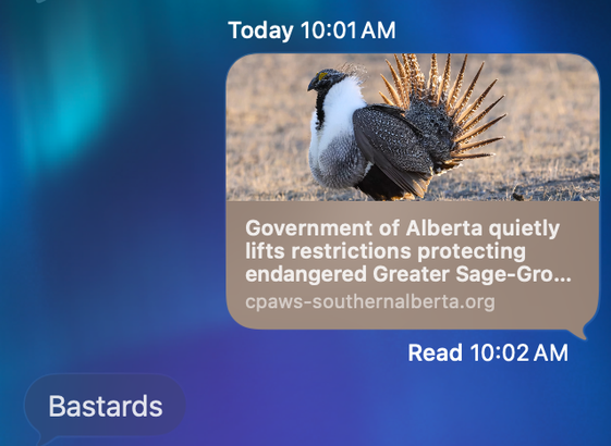 Texts with my father. 

Today 10:01 AM
Government of Alberta quietly lifts restrictions protecting
endangered Greater Sage-Gro...
cpaws-southernalberta.org
Read 10:02 AM

Bastards