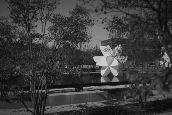 Black & white photograph of a large geometric shape sitting on a reflected in a large pool of water, as seen through foliage.