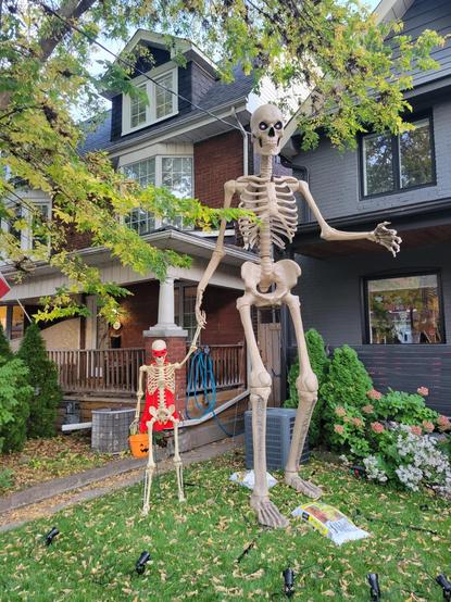 A twelve foot tall sleleton on someone's front yard holding hands woth a regular sized skeleton witha bandana over its eyes and cape and halloween camdy bucket