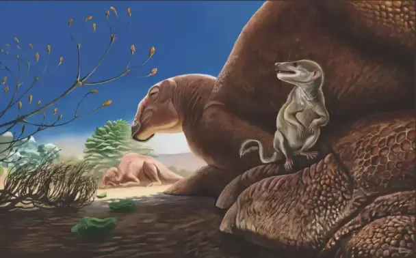 Illustration of a small prehistoric mammal standing on a foot of a huge herbivorous dinosaur