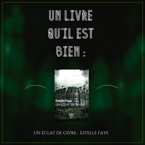 Un livre qu'il est bien : un éclat de givre, Estelle Faye
