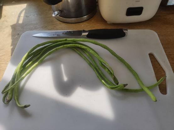 A white chopping board with thin green beans, maybe 18 inches long