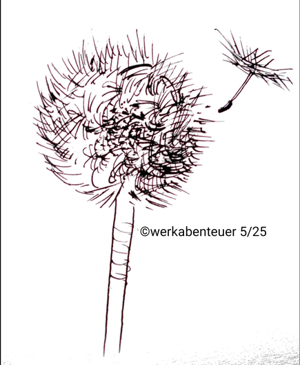 Eine schwarze Tuschezeichnung aif weißem Grund zeigt einen Pusteblumenkopf mit Stiel. Rechts oben fliegt ein Samen heraus.