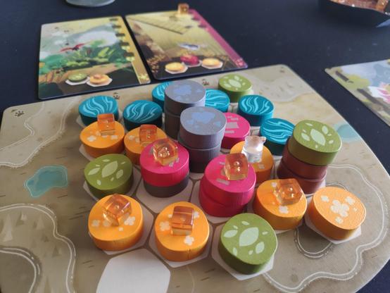 Fotografía del estado final de la partida. Se ve en la parte de abajo un tablero de losetas hexagonales con fichas gruesas de madera de distintos colores y dibujos. Algunas tienen cubos de plástico encima, de color naranja transparente, cada uno con una burbujita en medio. También hay una pieza de plástico blanco transparente que no es un cubo sino que tiene como forma de oso (bola aplastada con orejas). Estas piezas de plástico representan los animales de las cartas de las otras fotos.