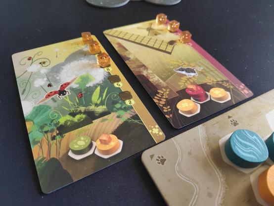 Fotografía de las dos cartas que representan animales comunes, en este caso hay mariquitas y ratones de campo. Las ilustraciones son muy bonitas, como simulando pegatinas del animal sobre un fondo natural. Quedan algunos cubos de plástico sobre estas cartas.