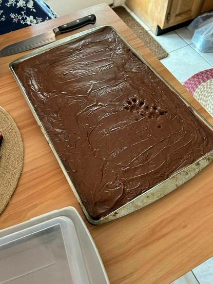 Uncooked brownies or cake with paw prints