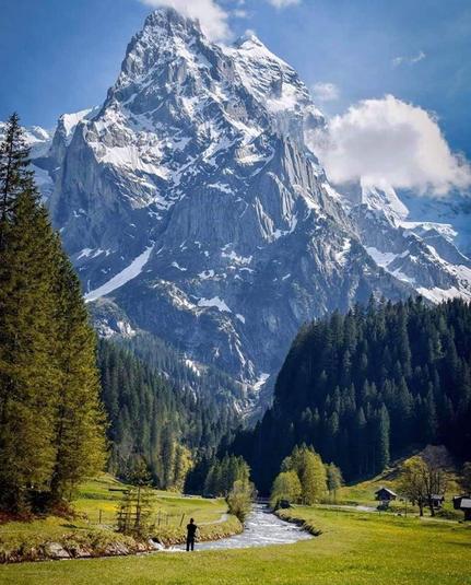 Mountain field and stream