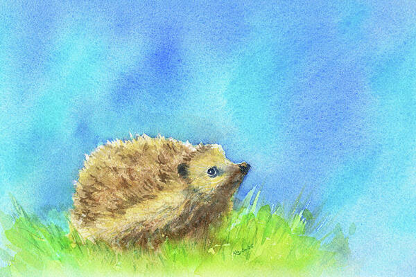 Hedgehog in Spring is a watercolor painting in landscape format hand-painted by the artist Karen Kaspar.
A small hedgehog with brown spines sits in bright green grass against a calm blue sky. He curiously stretches his nose into the air and sniffs the fresh spring air. He seems to be smiling. The loose brushstrokes of the watercolor gives the scene a gentle and peaceful aura.