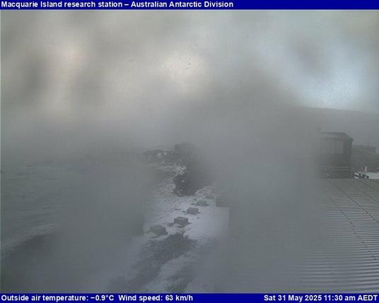 View from the Macquarie Island station.